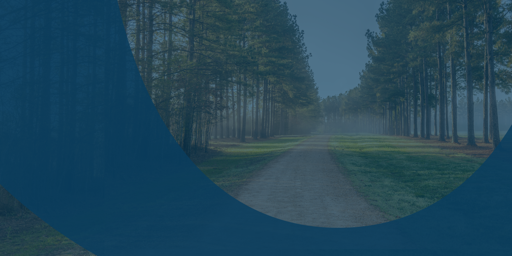 home_page_banner_navy_farm