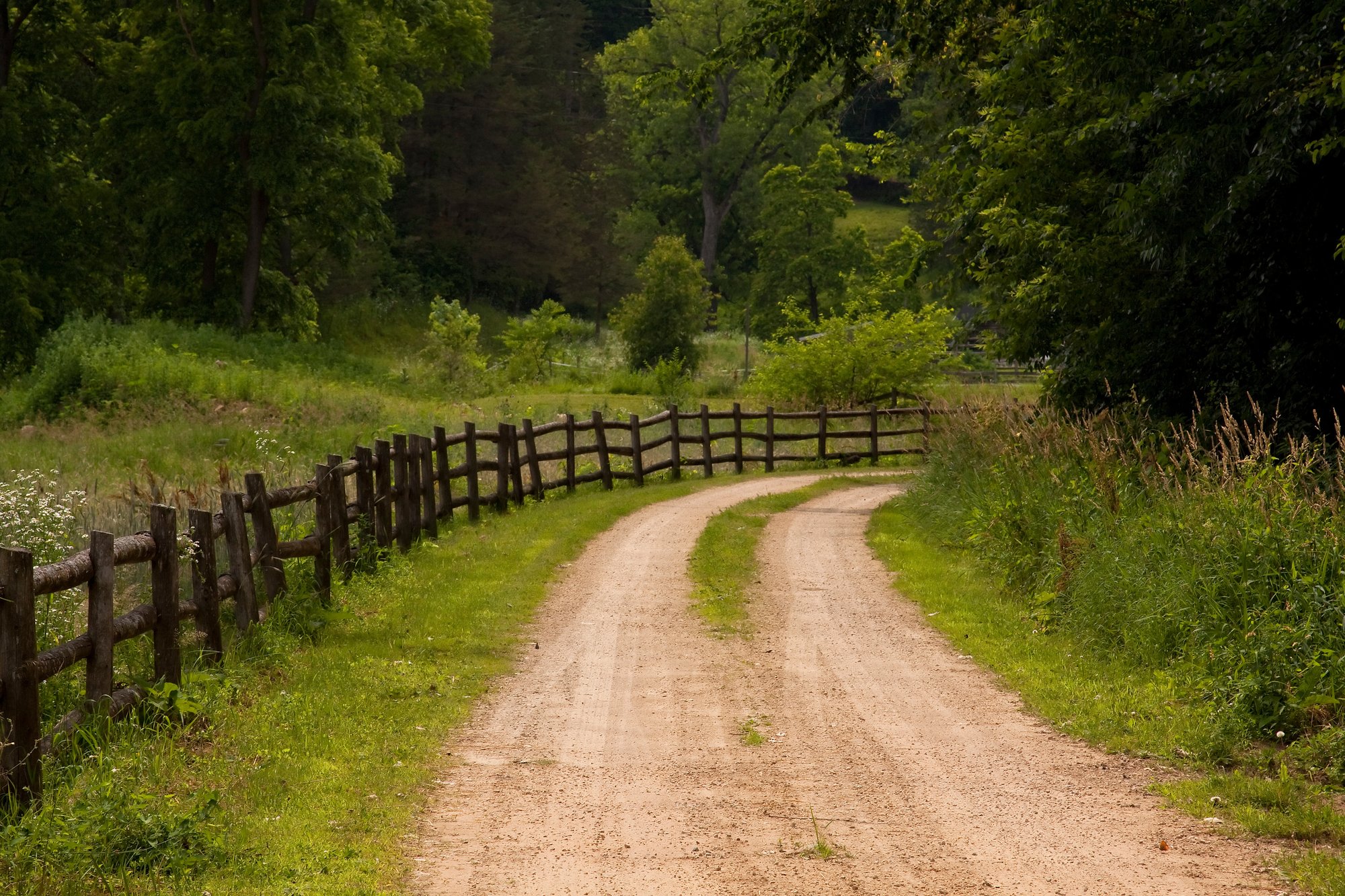 lightly used pathway in the countryside