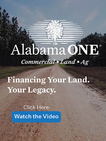 AO_CLA_Watch-Video_WNWB_360x475_0423_V1